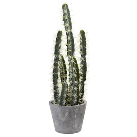 Dare2Decor Decorative Cactus Garden With Cement Planter DA409334